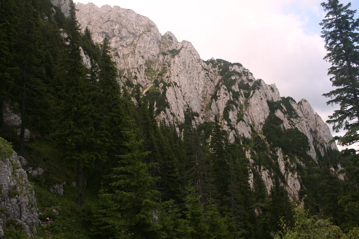 /Cioranga1/img_7664-j3.jpg