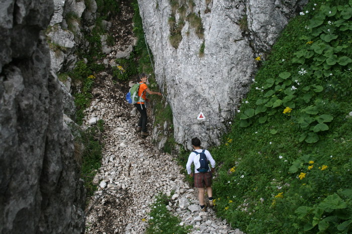 /Cioranga1/img_7671-j3.jpg