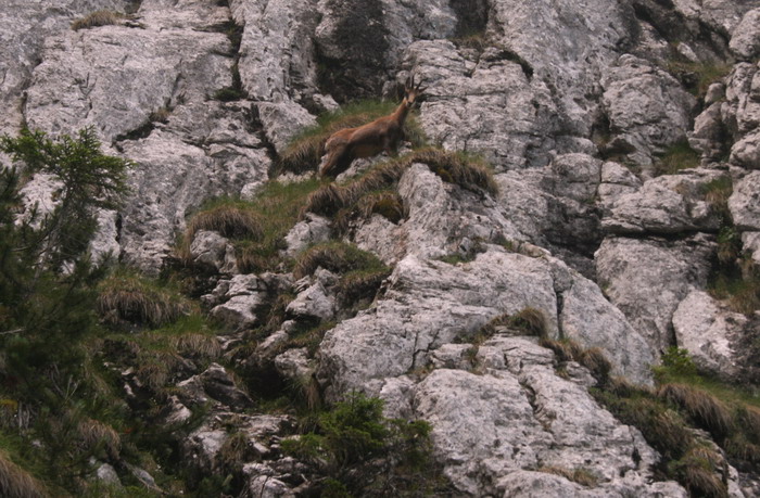 /Cioranga1/img_7688-j3.jpg