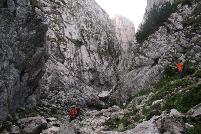/Cioranga1/img_7699-j3.jpg