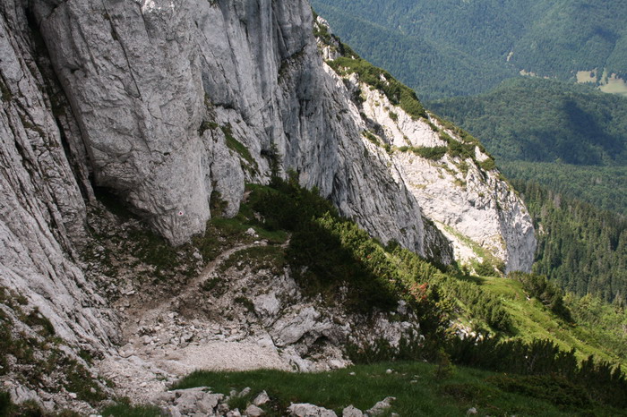 /Cioranga2/img_7774-j3.jpg