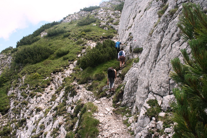 /Cioranga2/img_7777-j3.jpg
