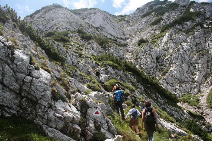 /Cioranga2/img_7783-j3.jpg