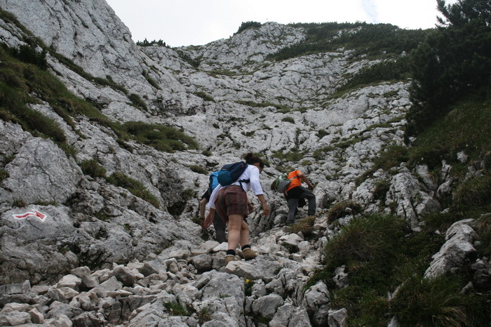/Cioranga2/img_7791-j3.jpg
