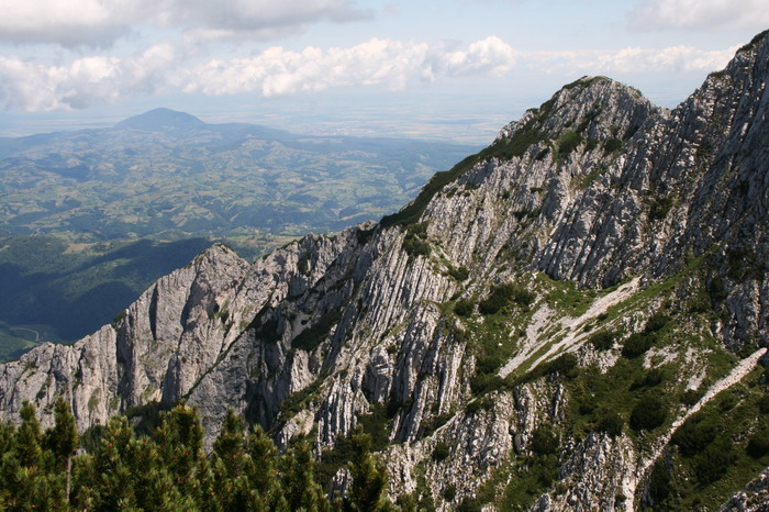 /Cioranga2/img_7800-j3.jpg