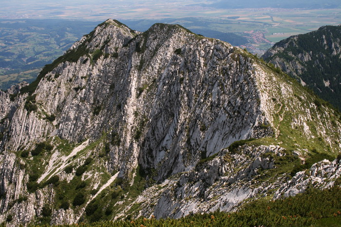 /Cioranga2/img_7822-j3.jpg