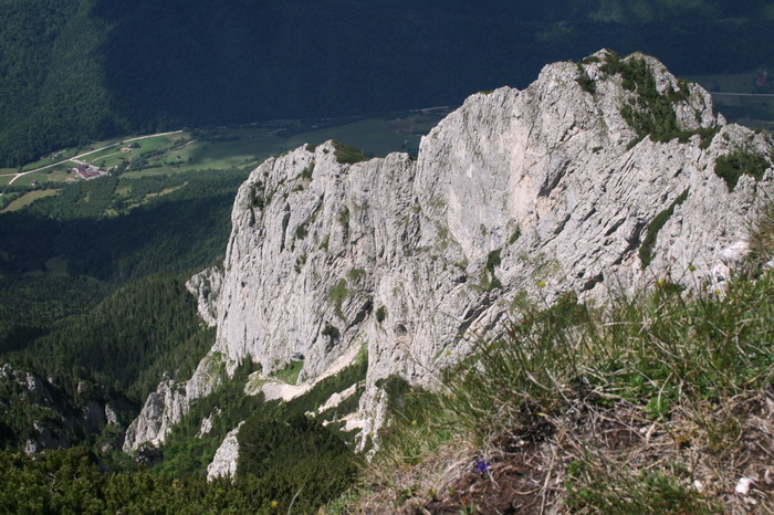 /Cioranga2/img_7903-j3.jpg