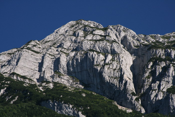 /Cioranga2/img_7910-j3.jpg