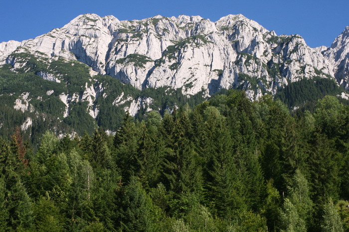/Cioranga2/img_7934-j3.jpg