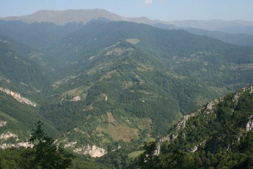 /Crovuri1/img_6780-j1.jpg