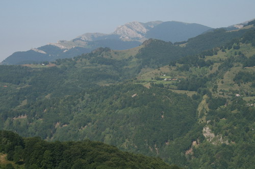 /Crovuri1/img_6781-j1.jpg