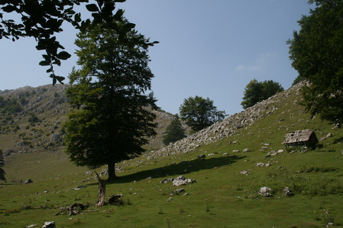 /Crovuri1/img_6797-j1.jpg