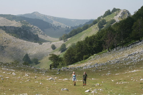 /Crovuri1/img_6807-j1.jpg