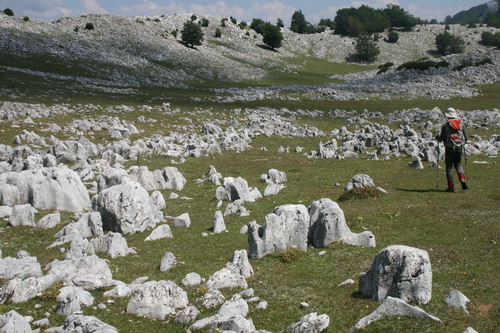 /Crovuri1/img_6813-j1.jpg