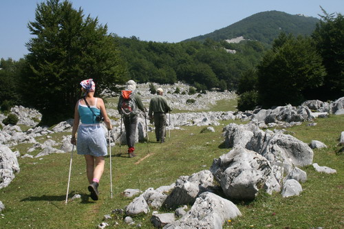 /Crovuri1/img_6818-j1.jpg