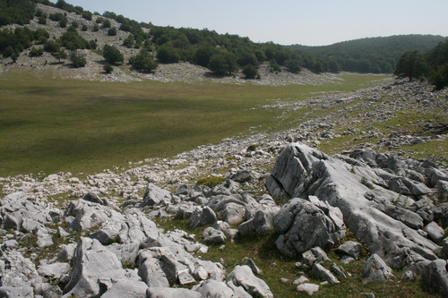 /Crovuri1/img_6826-j1.jpg
