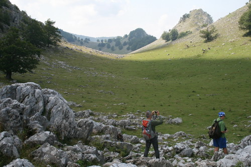 /Crovuri2/img_6844-j1.jpg