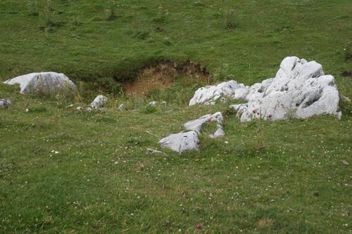 /Crovuri2/img_6847-j1.jpg