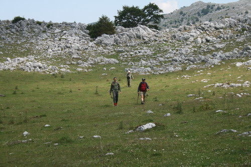 /Crovuri2/img_6849-j1.jpg