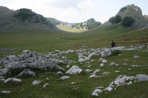 /Crovuri2/img_6856-j1.jpg