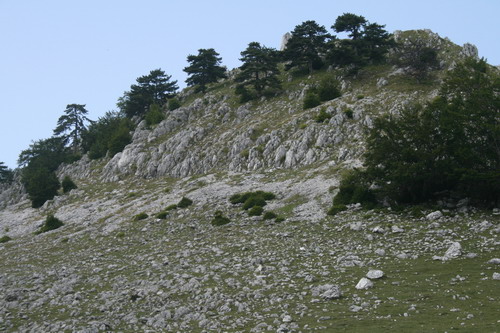 /Crovuri2/img_6866-j1.jpg