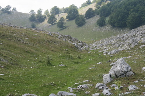 /Crovuri2/img_6867-j1.jpg