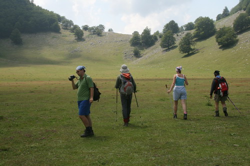 /Crovuri2/img_6875-j1.jpg