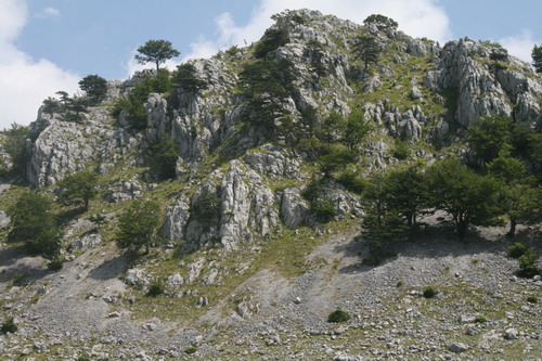 /Crovuri2/img_6876-j1.jpg