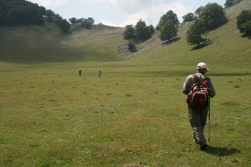 /Crovuri2/img_6879-j1.jpg