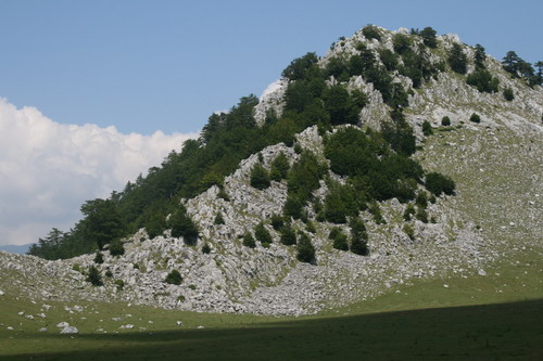 /Crovuri2/img_6880-j1.jpg