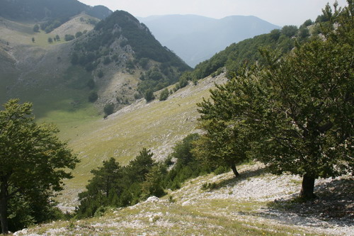 /Crovuri2/img_6896-j1.jpg
