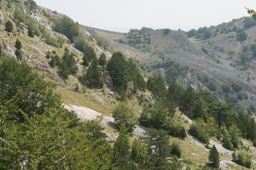 /Crovuri2/img_6900-j1.jpg