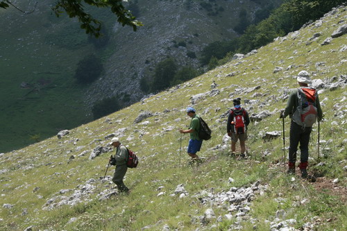 /Crovuri2/img_6906-j1.jpg