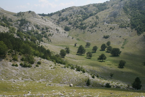 /Crovuri2/img_6913-j1.jpg
