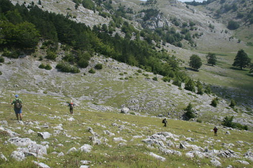 /Crovuri2/img_6915-j1.jpg