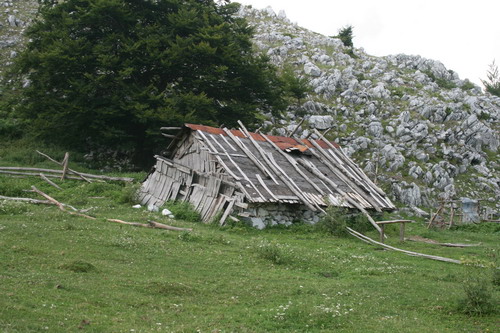 /Crovuri3/img_6927-j1.jpg