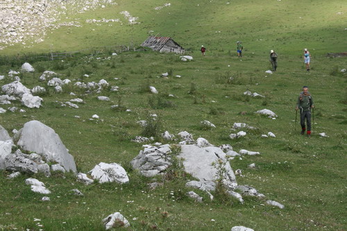 /Crovuri3/img_6930-j1.jpg