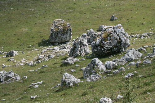 /Crovuri3/img_6931-j1.jpg