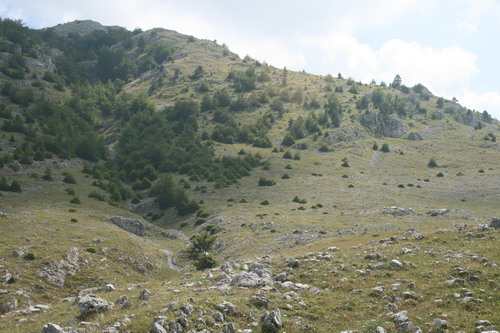 /Crovuri3/img_6937-j1.jpg