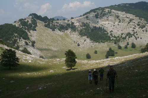 /Crovuri3/img_6943-j1.jpg