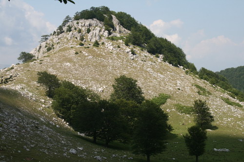 /Crovuri3/img_6946-j1.jpg