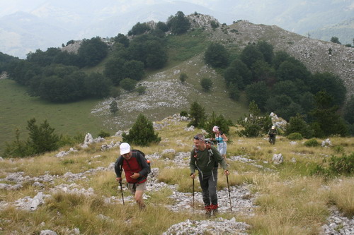 /Crovuri3/img_6965-j1.jpg