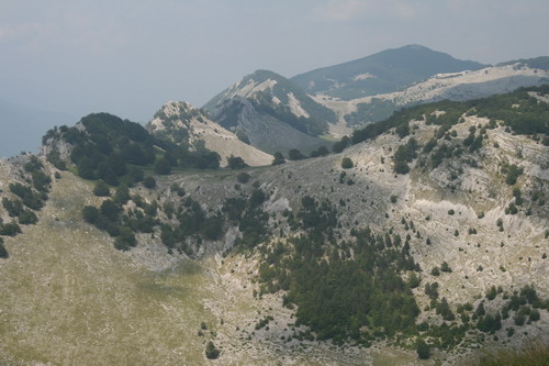 /Crovuri3/img_6966-j1.jpg