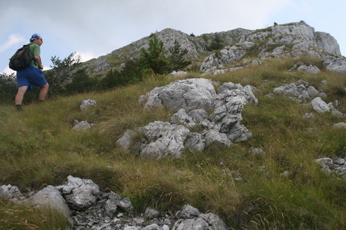 /Crovuri3/img_6969-j1.jpg