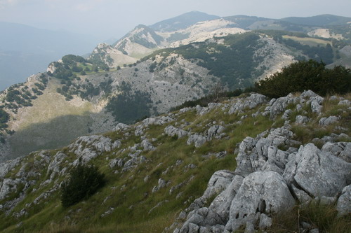 /Crovuri3/img_6973-j1.jpg