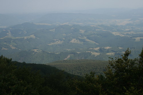 /Crovuri3/img_6976-j1.jpg