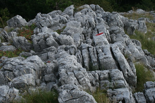 /Crovuri3/img_6983-j1.jpg