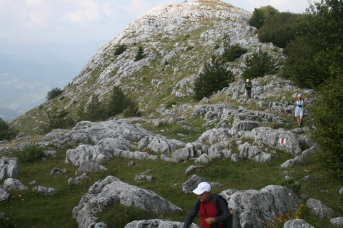 /Crovuri3/img_6986-j1.jpg
