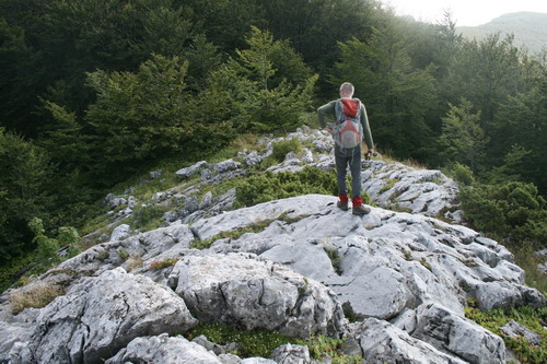 /Crovuri4/img_7000-j1.jpg