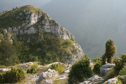 /Crovuri4/img_7011-j1.jpg